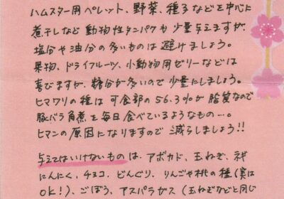 2023年3月度はむちゃんコラム