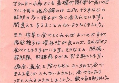 2023年6月度小鳥ちゃんコラム