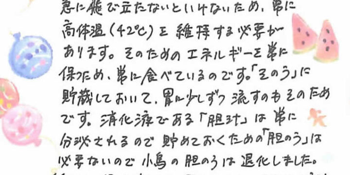 2024年8月度小鳥ちゃんコラム