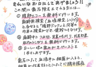 2024年8月度ねこちゃんわんこちゃんコラム