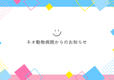 コラム2025年7月