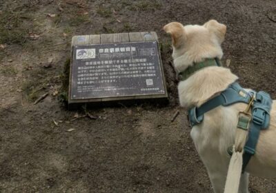 コラム2026年6月29日_だいずの登山日記9