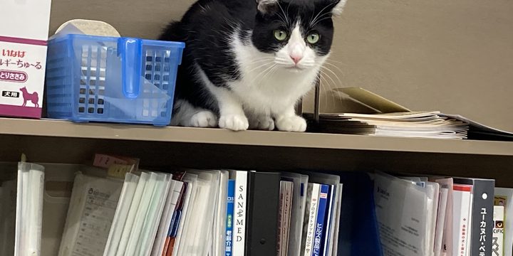 コラム2026年8月29日
